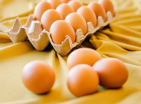 Eggs in a gray container Stock Photos