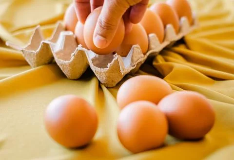 Eggs in a gray container Stock Photos