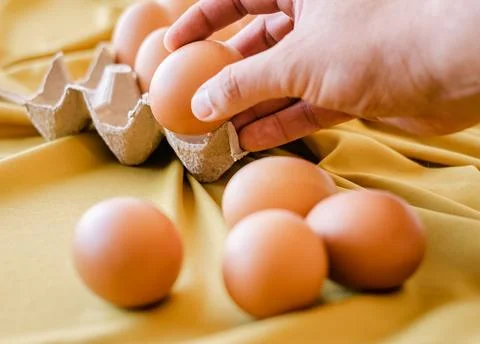 Eggs in a gray container Foto stock