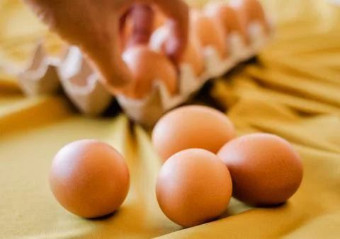 Eggs in a gray container Foto stock