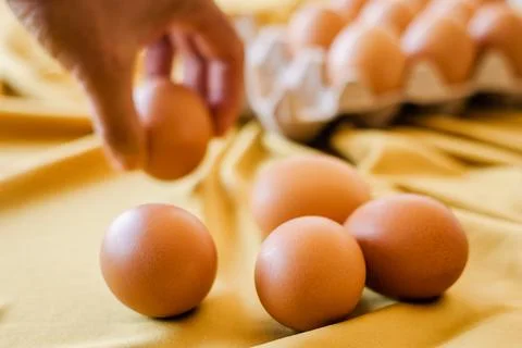 Eggs in a gray container Stock Photos