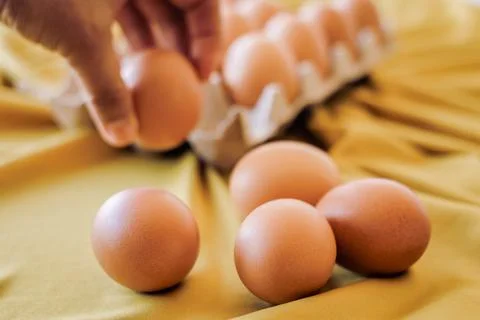 Eggs in a gray container Stock Photos