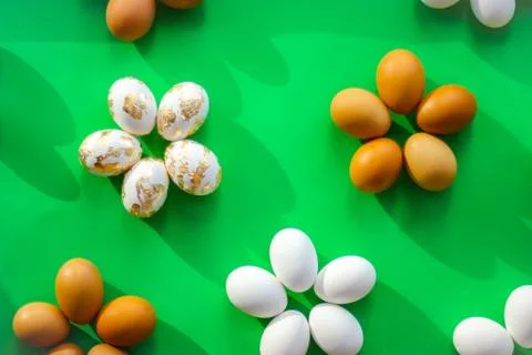 Eggs on a green background. horizontal image, top view Photos