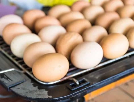 Eggs grill Stock Photos