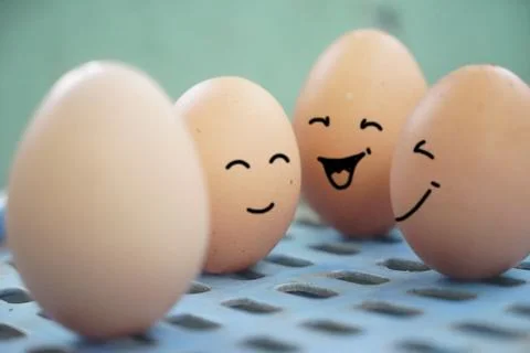 Eggs with a happy expression when sitting with a partner, expression mental.. Stock Illustration