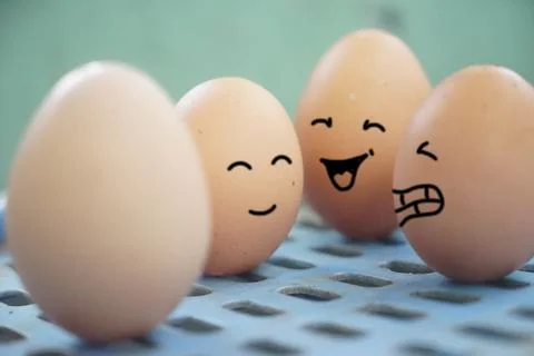 Eggs with a happy expression when sitting with a partner, expression mental.. Stock Photos