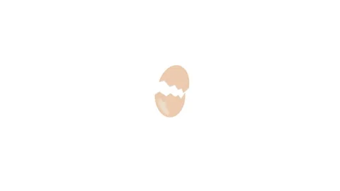 Eggs hatching on white background stop motion animation Video stock 314329434