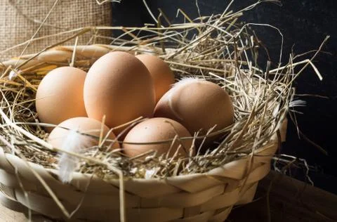 Eggs in hay basket Stock Photos