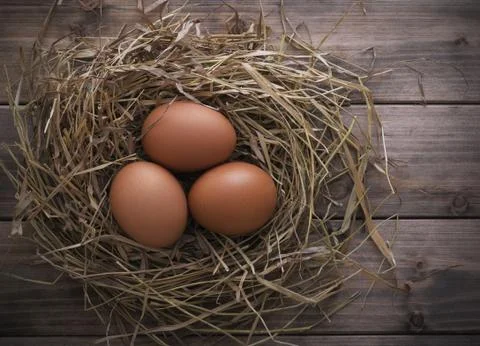 Eggs in hay Stock Photos
