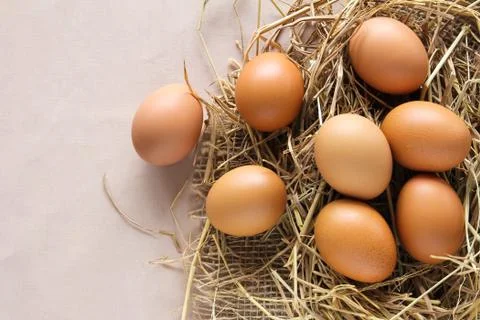 Eggs on hay Stock Photos