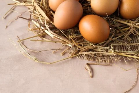 Eggs on hay Stock Photos