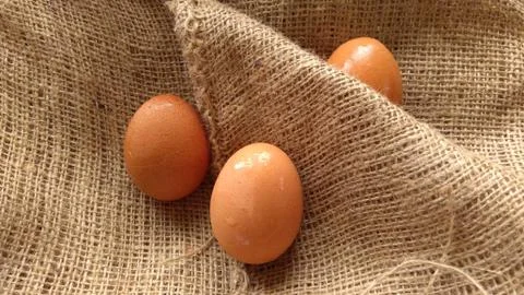 Eggs on  hemp fabric background Stock Photos