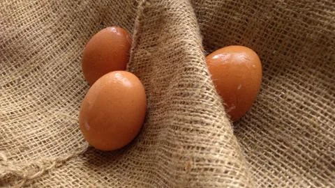 Eggs on  hemp fabric background Stock Photos