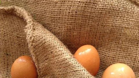 Eggs on  hemp fabric background 写真素材