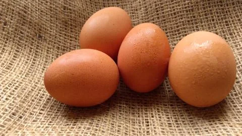 Eggs on  hemp fabric background 写真素材