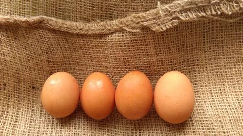 Eggs on  hemp fabric background Stock Photos
