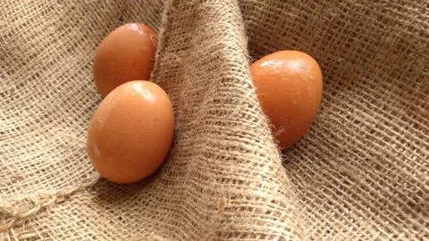 Eggs on  hemp fabric background Stock Photos