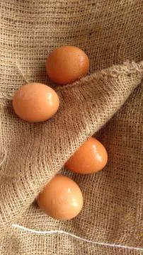 Eggs on  hemp fabric background Stock Photos