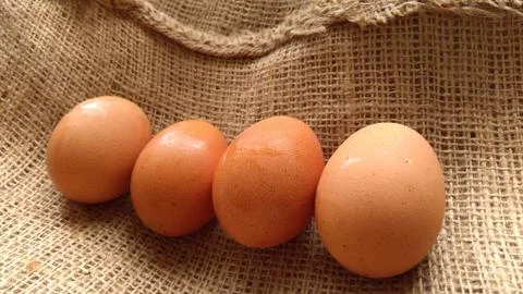 Eggs on  hemp fabric background Stock Photos