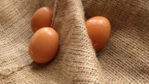 Eggs on  hemp fabric background Stock Photos