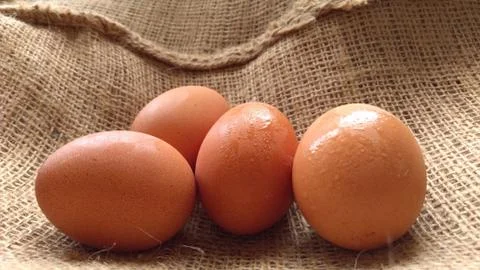 Eggs on  hemp fabric background 写真素材