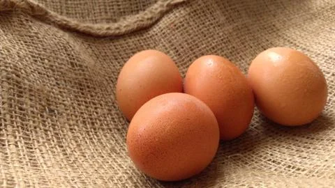 Eggs on  hemp fabric background Stock Photos