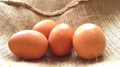 Eggs on  hemp fabric background Stock Photos