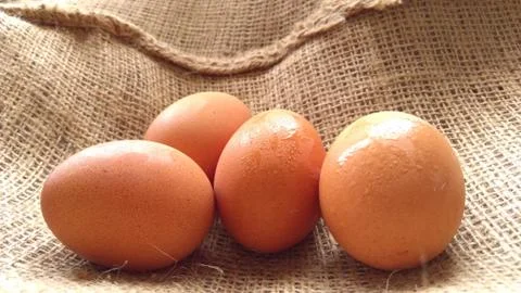 Eggs on  hemp fabric background Stock Photos