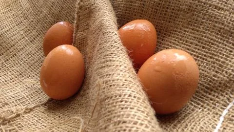 Eggs on  hemp fabric background Stock Photos