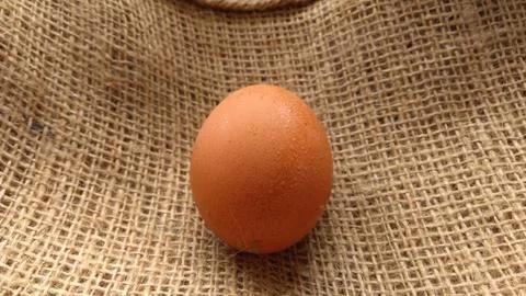 Eggs on  hemp fabric background Stock Photos