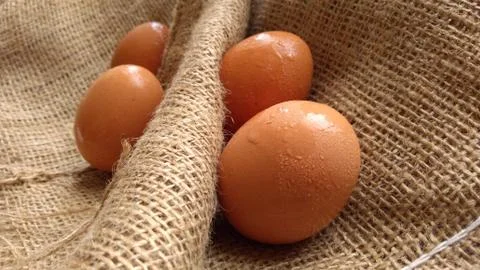 Eggs on  hemp fabric background Stock Photos