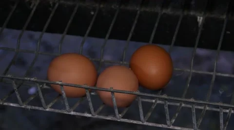 Eggs in hen basket 库存影片 62535243