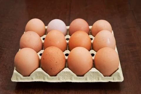 Eggs of hen Stock Photos