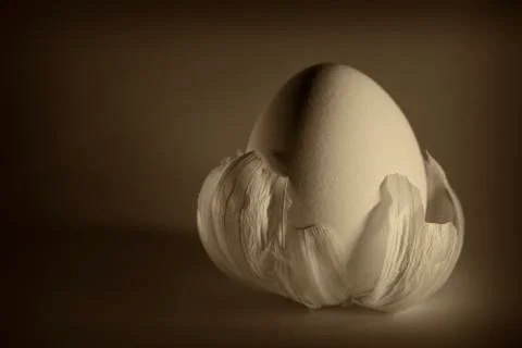 Eggs in the husk Foto stock