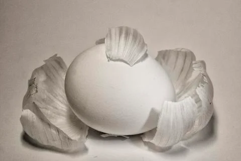 Eggs in the husk Foto stock