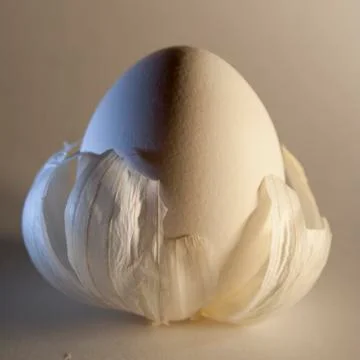 Eggs in the husks as in petals Foto stock