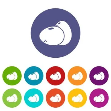 Eggs icons set color Stock Illustration