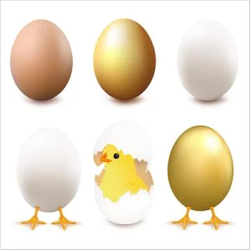 Eggs Stock Illustration
