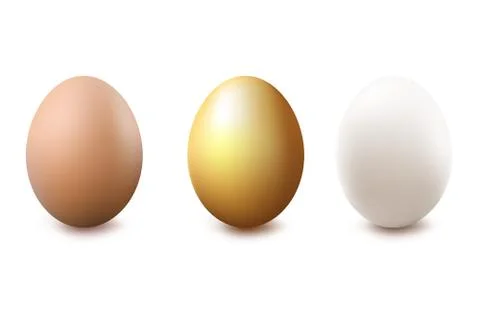 Eggs Stock Illustration