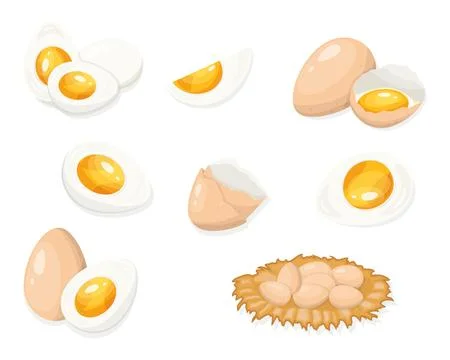 Eggs Illustration Set with Boiled Cut and Cracked Eggs Stock Illustration
