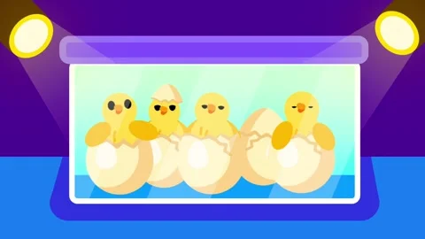 Eggs in Incubator Stock Footage 335642108