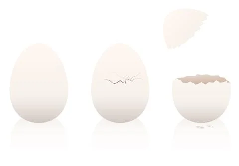 Eggs Intact Broken Open Eggshell Stock Illustration