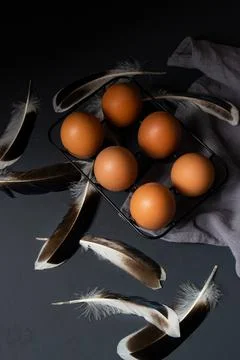 Eggs in an iron stand on a gray background, feathers lie nearby Fotos Stock