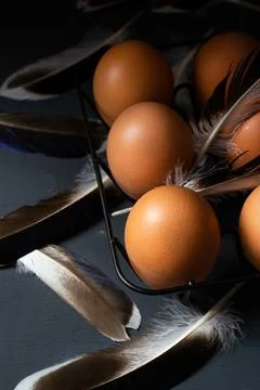 Eggs in an iron stand on a gray background, feathers lie nearby Foto stock