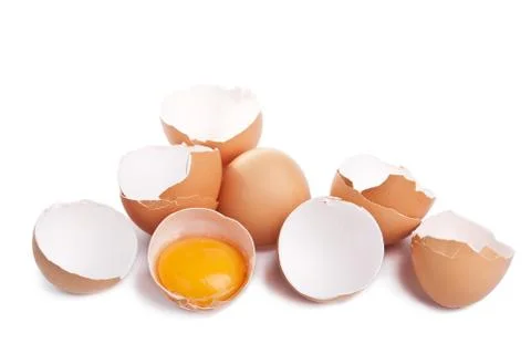 Eggs isolated Stock Photos