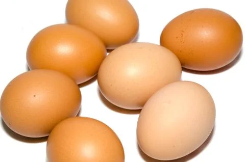 Eggs isolated Stock Photos