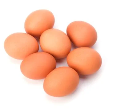 Eggs isolated on white background Stock Photos