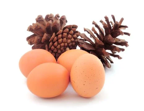 Eggs isolated on white background Stock Photos