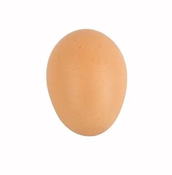 Eggs isolated on white background Stock Photos