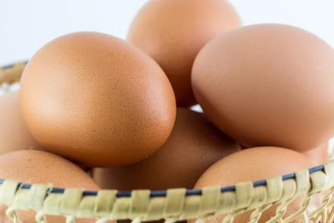 Eggs isolated on white background Stock Photos